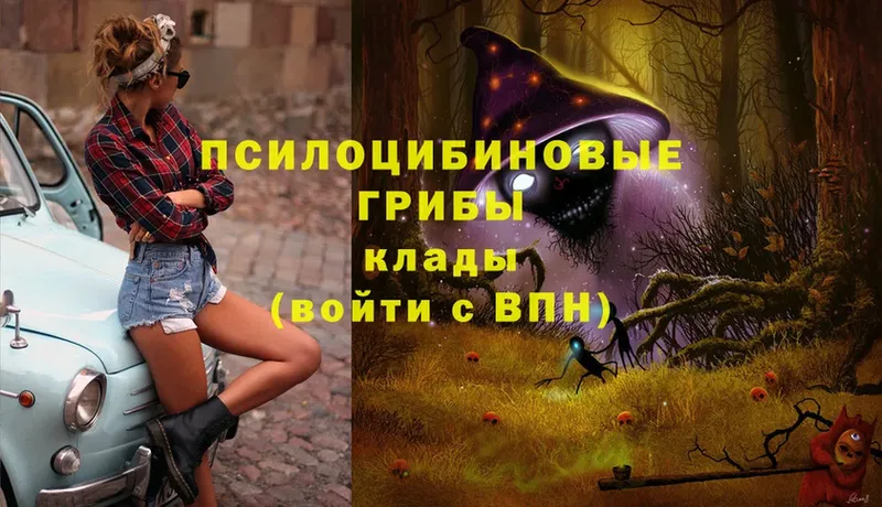 закладка  Горно-Алтайск  Галлюциногенные грибы Magic Shrooms 